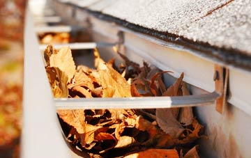 Edge Mount gutter cleaning companies