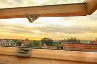 rated Edge Mount roof window companies